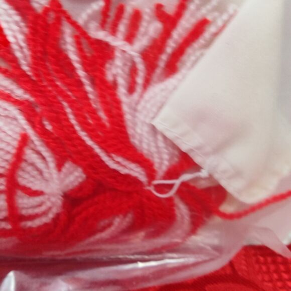 Westwater Bear Wear Active for Bears on The Go Red Cheerleader W/ Pom pom NEW - Picture 9 of 9